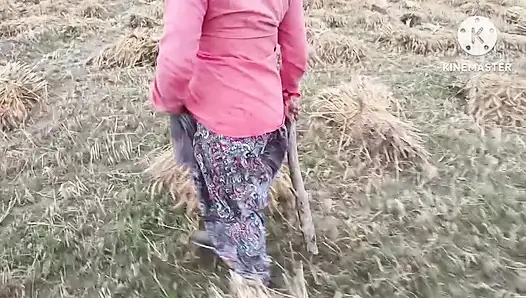 Gehu kat ti huyi female majdoor ki choot chudayi kari doggi style me
