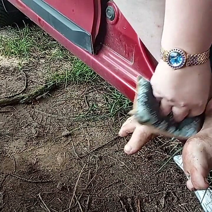 Dirty Feet
