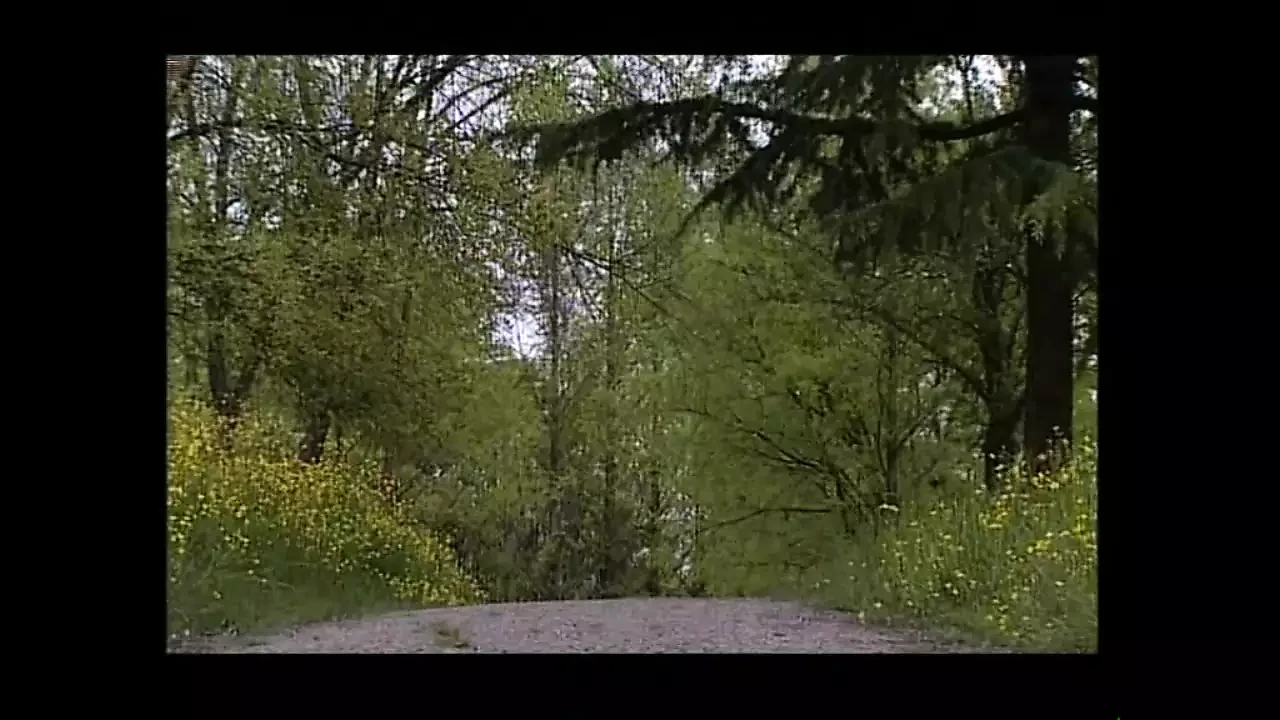 Missione xxx possibile - (version film originale en Full HD