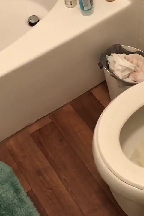Pee Pants Training