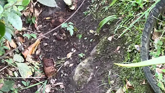 Никогда не думала, что моя сводная сестреца сделает это