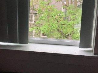 Branlette devant la fenêtre