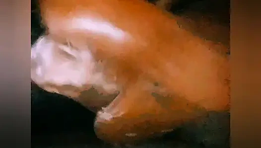 Video panas India buku besar Bengali