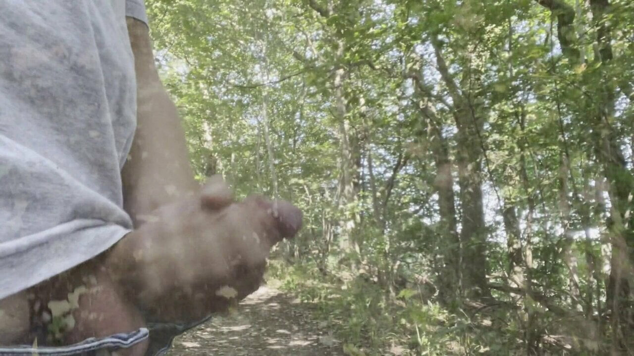Danish Public Handjob - In the woods