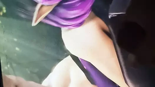 Sop skye (paladinler)
