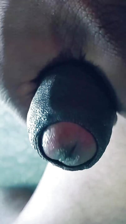 Gay papi indio cachondo sentimientos de lujuria