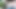Masturbation of a Beautiful Bisexual Penis Day 11