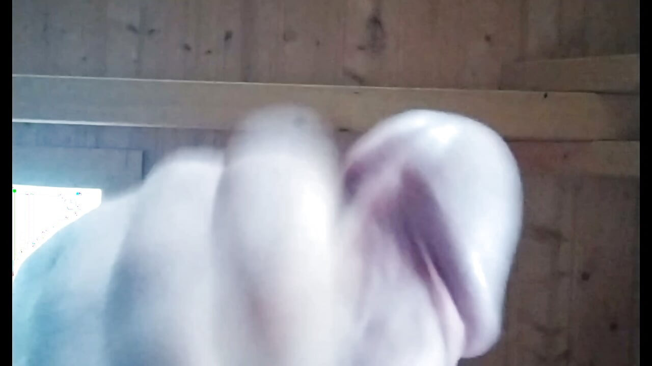 Sám v lesní chatě