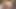 BBC-Sugar schlank, dick, Chi Chi und Blu? Magischer Dreierfreak aus Texas