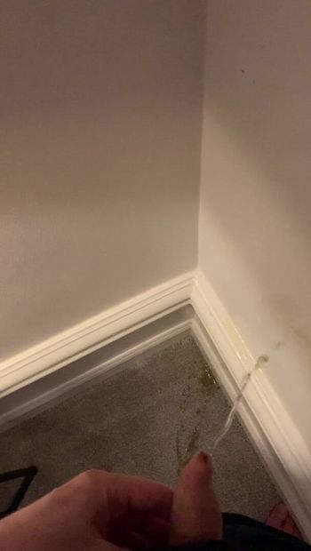 Pissing in my bedroom on the wall and carpet