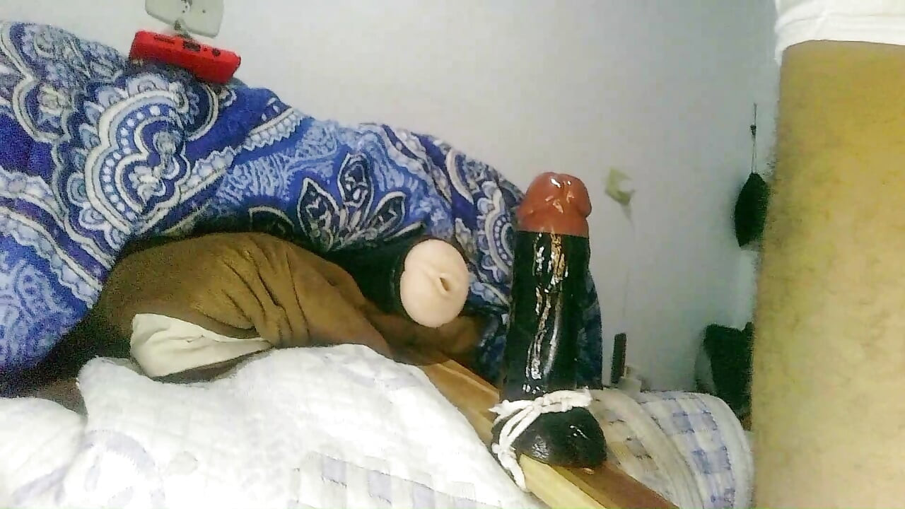 Волохата пустотлива красуня