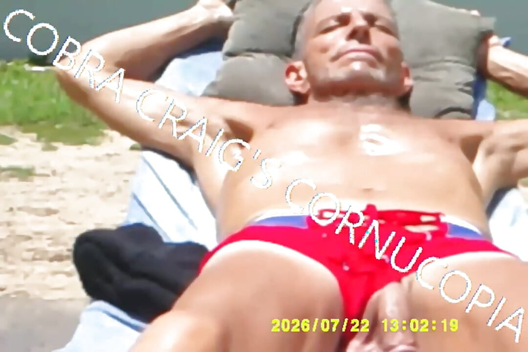 7-19-2026 the Cock the Sun Singing Venus Was Her Name Free Bird Wishing You Were Here
