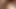 Pierced white slut likes good ass creampie from the black pecker