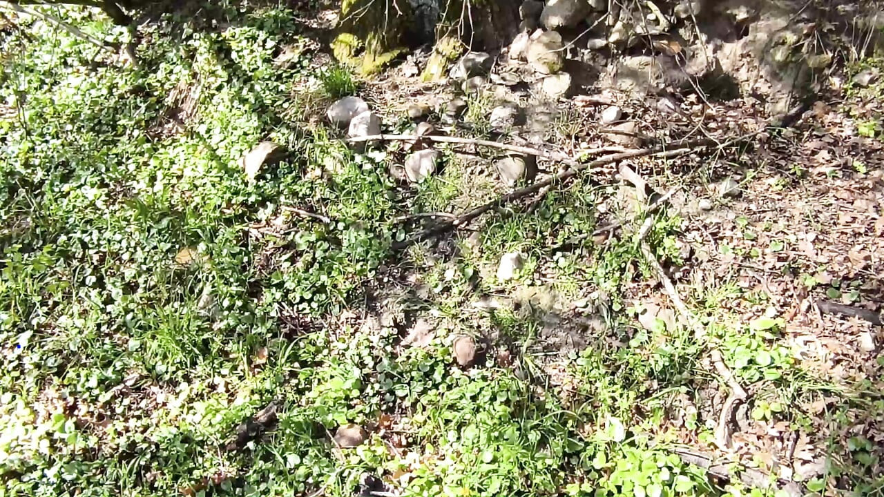 Ass and tits in the woods