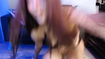 16037