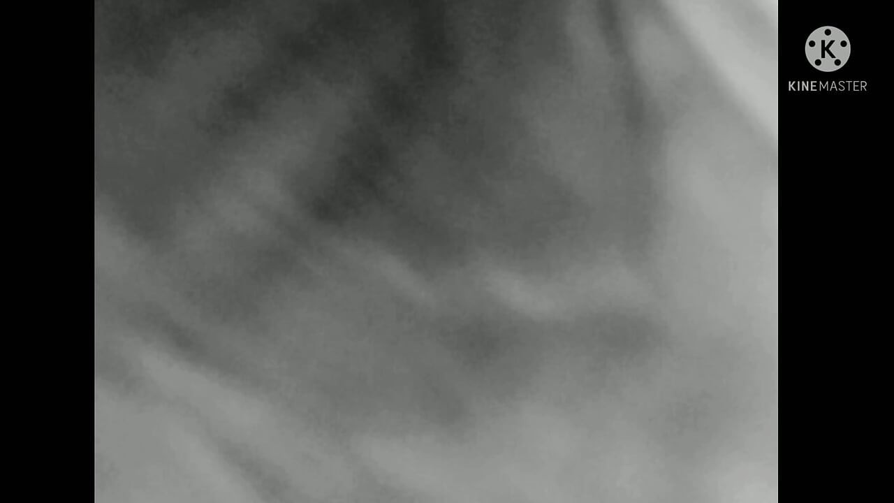 Hoće li me uhvatiti??