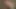 Red hair midget sucking big cock