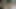Moaning horny slut fucked by big cock in the forest