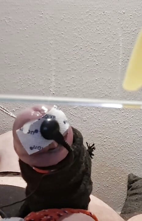 hfo solo estim cumshot electro cbt