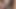 Wild dick close up