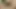 Bhabhi ne aaj apni chut me silicone or vibration dildo dal ke chut ka pani nikal diya