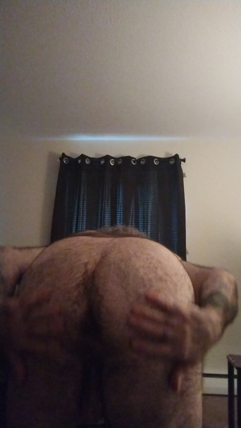 Polar bear needs something hard and deep