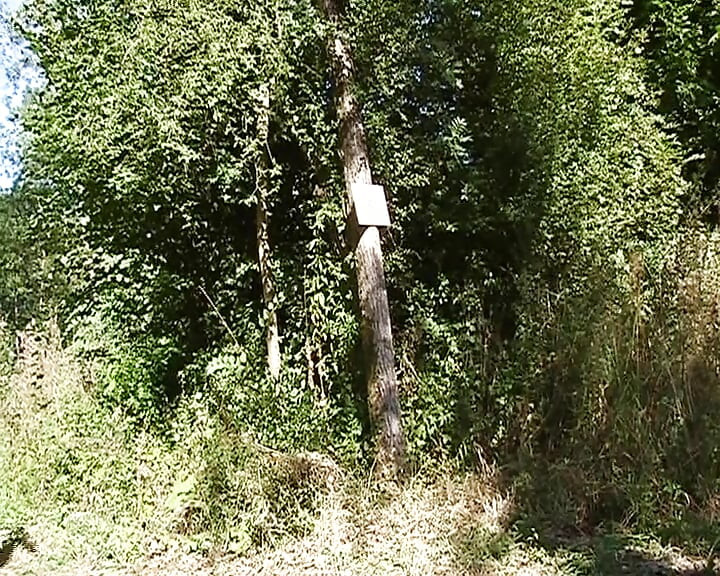 Cute French doll eats cum after hard anal fuck in the woods