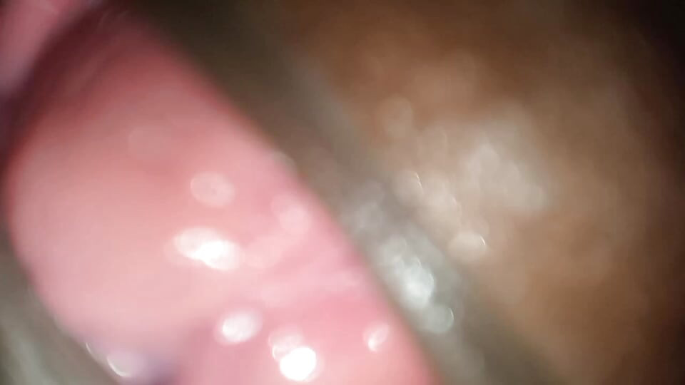 新しいビデオナイトと家が大好きです