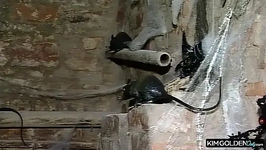 Heisser Dreier in der Scheune mit geiler Bruenetten