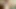 Posing amateur ladyboy from the usa closeup