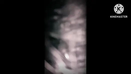 Пенджабская сводная сестра дези, видео XXX