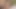 Kıvrımlı travesti roberta martins
