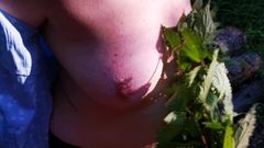 Tits and nettles, extreme in public
