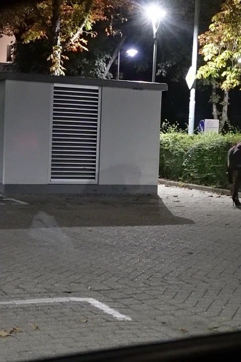 Трахни мой дилдо на парковке в чулках