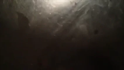 Döl yığını - hızlı jo