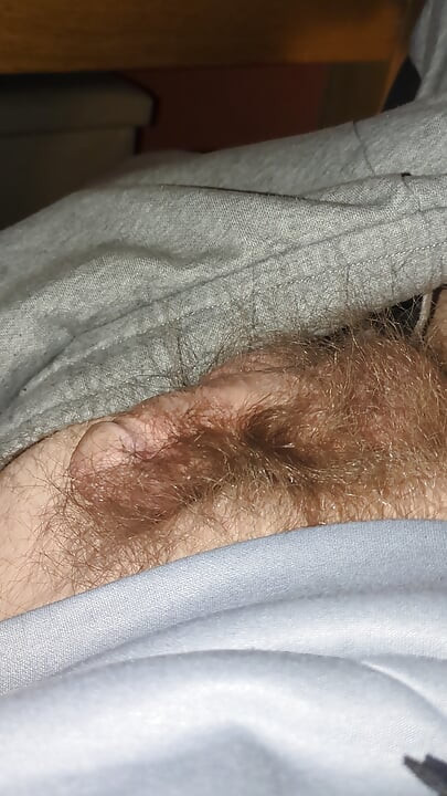 Noćna sperma