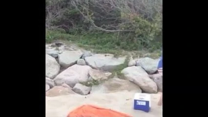 Beach problem solved