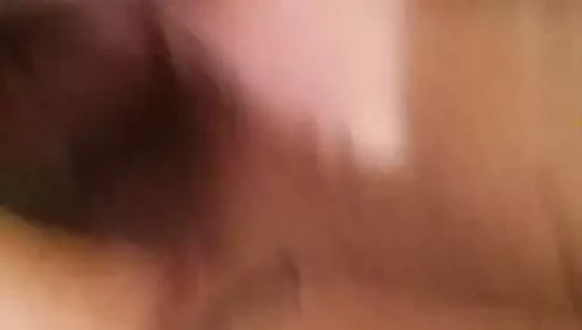 amatör