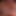 毛深い楽しみ