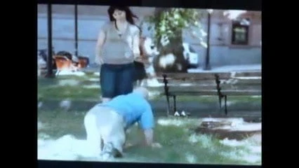 stooges humiliated in public