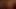 Diesen Schwanz zu lutschen ist unmoralisch und fast