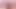 Sevimli ve pembe amcıkta cilt alerjisi! İŞTE BU!