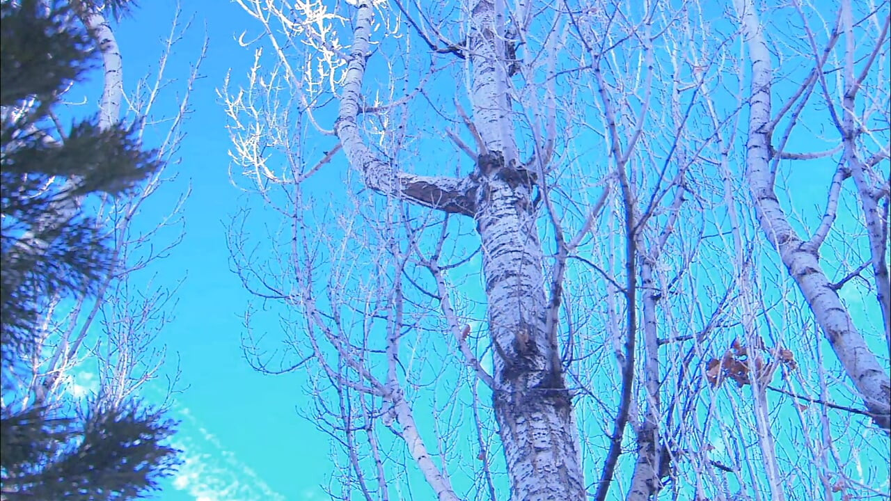 Big ass girl bends over while she gets fucked hard on the snow