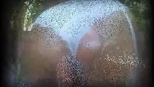 Big boobs hairy pussy black girl loves in pussy loves in mouth...cum in mouth