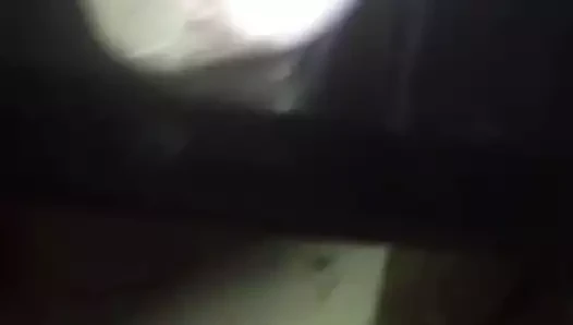 Capibarasevimli yüz haraç