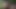 big black meat and moaning boy in tropical forest