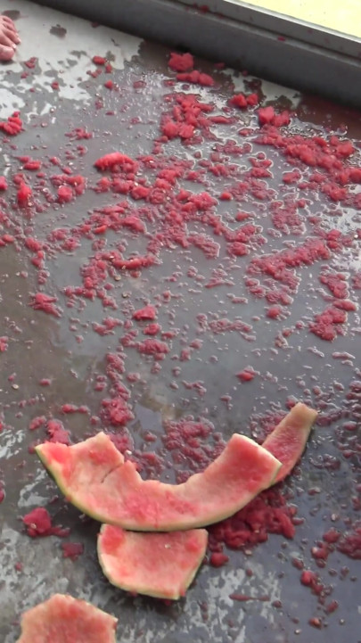 Alimentação com melancia!