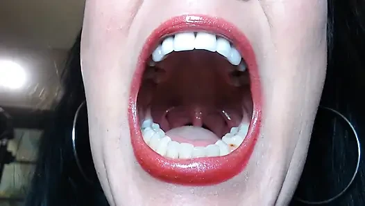 Tour The Terrors in my Mouth