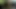 POV blowjob and hot cum on my face from a thick cock