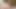 SSBBW YENI BIR DILDO ALıYOR